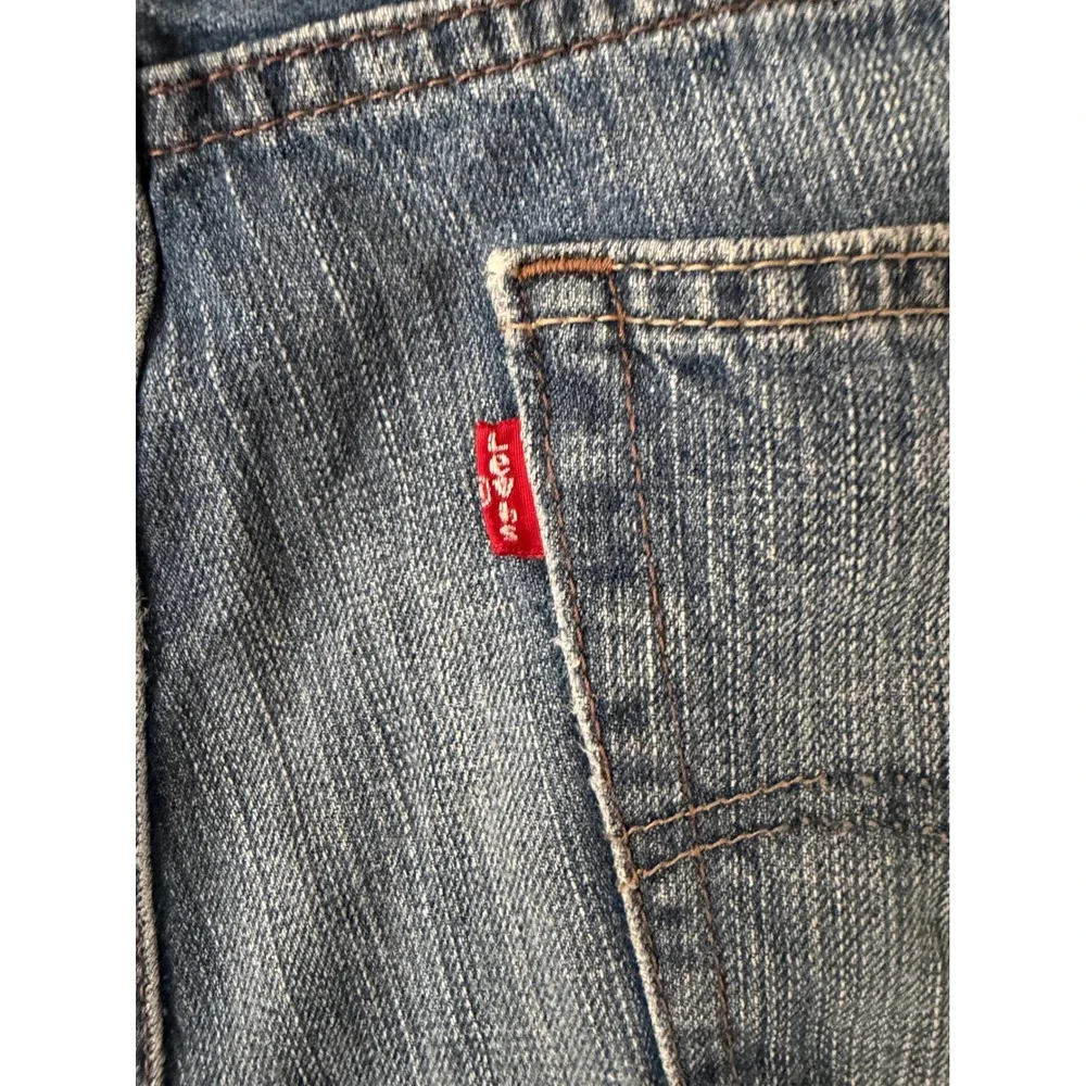 Levis levi 569